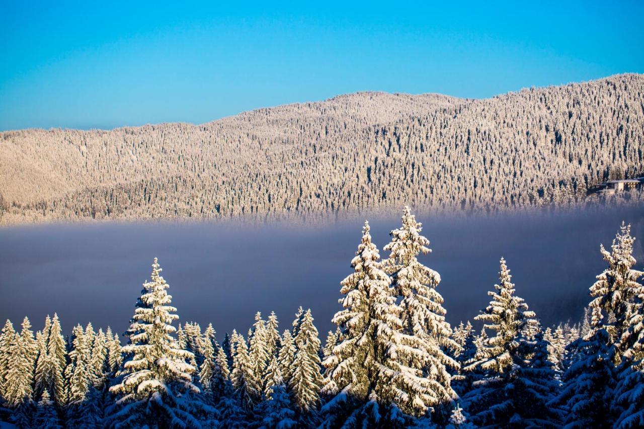 Sunny Hills Ski&Wellness Pamporovo Kültér fotó
