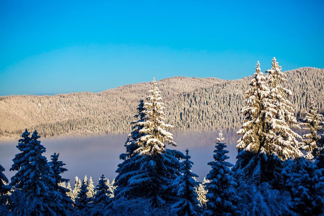 Sunny Hills Ski&Wellness Pamporovo Kültér fotó
