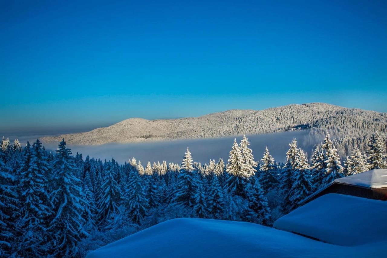 Sunny Hills Ski&Wellness Pamporovo Kültér fotó