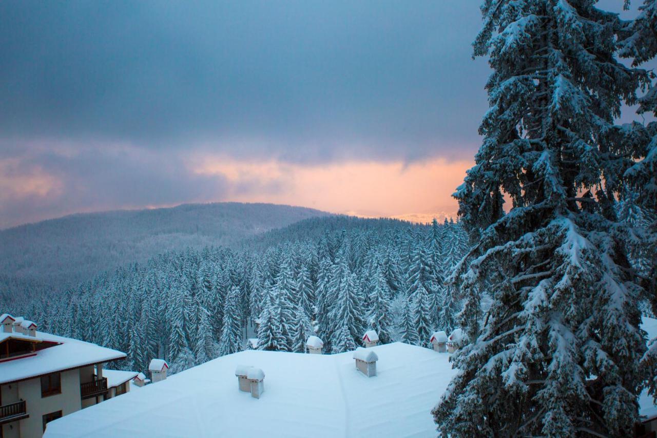 Sunny Hills Ski&Wellness Pamporovo Kültér fotó