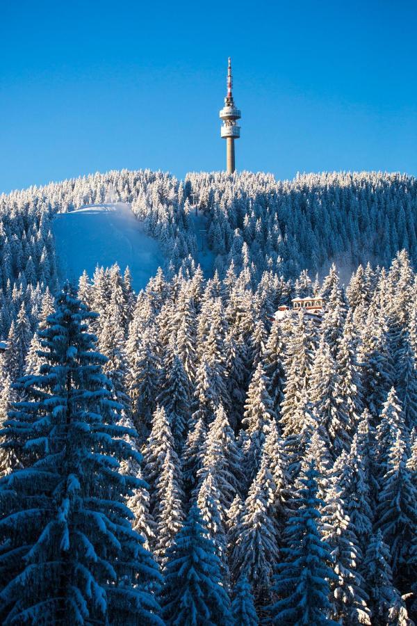 Sunny Hills Ski&Wellness Pamporovo Kültér fotó