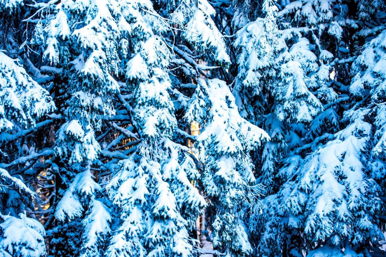 Sunny Hills Ski&Wellness Pamporovo Kültér fotó