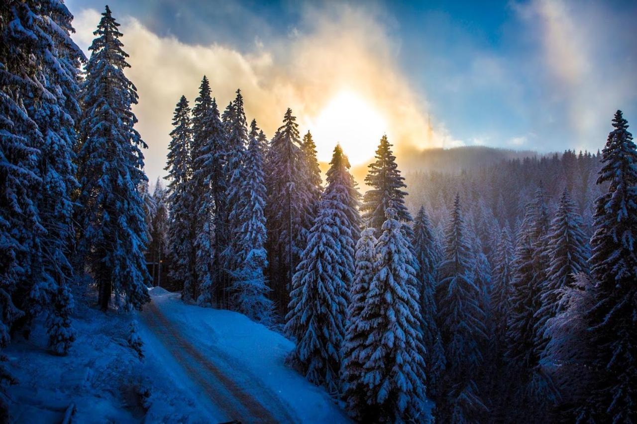 Sunny Hills Ski&Wellness Pamporovo Kültér fotó